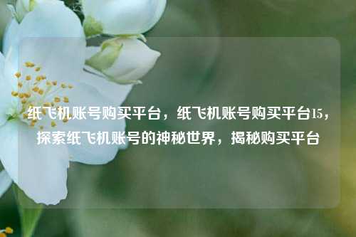纸飞机账号购买平台，纸飞机账号购买平台15，探索纸飞机账号的神秘世界，揭秘购买平台