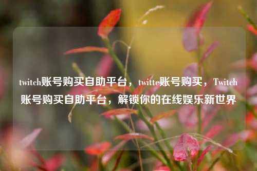 twitch账号购买自助平台，twitte账号购买，Twitch账号购买自助平台，解锁你的在线娱乐新世界