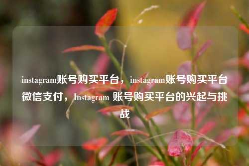 instagram账号购买平台，instagram账号购买平台微信支付，Instagram 账号购买平台的兴起与挑战