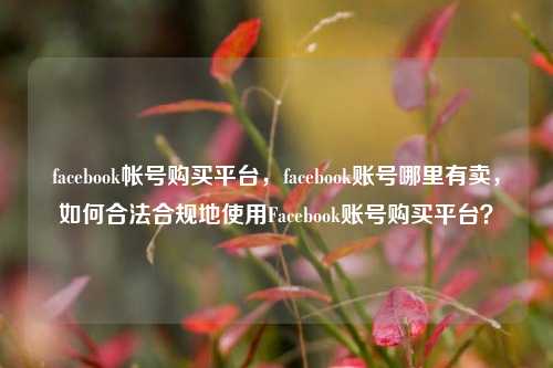 facebook帐号购买平台，facebook账号哪里有卖，如何合法合规地使用Facebook账号购买平台？