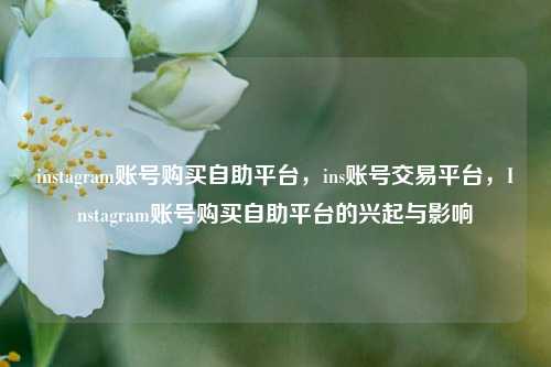 instagram账号购买自助平台，ins账号交易平台，Instagram账号购买自助平台的兴起与影响