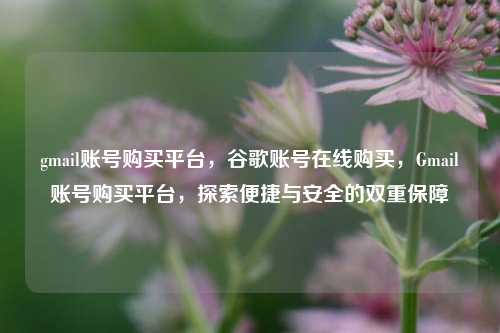 gmail账号购买平台，谷歌账号在线购买，Gmail账号购买平台，探索便捷与安全的双重保障