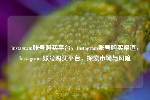 instagram账号购买平台，instagram账号购买渠道，Instagram 账号购买平台，探索市场与风险