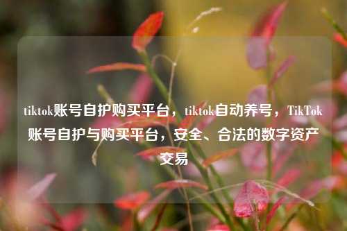 tiktok账号自护购买平台，tiktok自动养号，TikTok账号自护与购买平台，安全、合法的数字资产交易