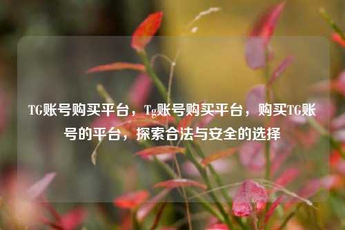 TG账号购买平台，Tg账号购买平台，购买TG账号的平台，探索合法与安全的选择