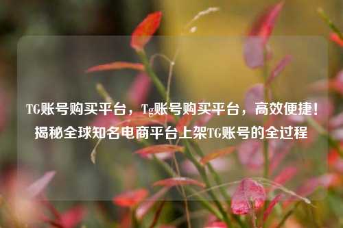 TG账号购买平台，Tg账号购买平台，高效便捷！揭秘全球知名电商平台上架TG账号的全过程