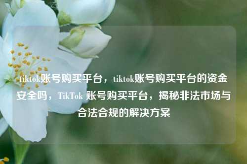 tiktok账号购买平台，tiktok账号购买平台的资金安全吗，TikTok 账号购买平台，揭秘非法市场与合法合规的解决方案