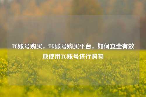 TG账号购买，TG账号购买平台，如何安全有效地使用TG账号进行购物