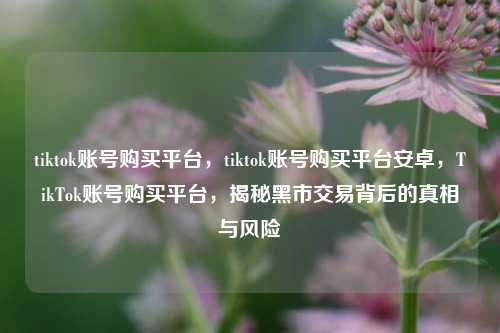 tiktok账号购买平台，tiktok账号购买平台安卓，TikTok账号购买平台，揭秘黑市交易背后的真相与风险