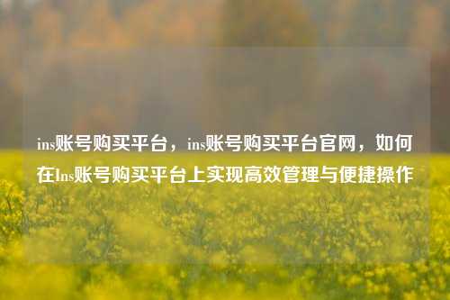 ins账号购买平台，ins账号购买平台官网，如何在Ins账号购买平台上实现高效管理与便捷操作