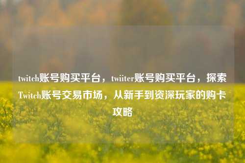 twitch账号购买平台，twiiter账号购买平台，探索Twitch账号交易市场，从新手到资深玩家的购卡攻略