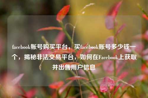 facebook帐号购买平台，买facebook账号多少钱一个，揭秘非法交易平台，如何在Facebook上获取并出售用户信息