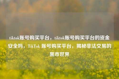 tiktok账号购买平台，tiktok账号购买平台的资金安全吗，TikTok 账号购买平台，揭秘非法交易的黑市世界