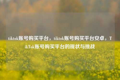tiktok账号购买平台，tiktok账号购买平台安卓，TikTok账号购买平台的现状与挑战