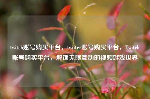 twitch账号购买平台，twiiter账号购买平台，Twitch账号购买平台，解锁无限互动的视频游戏世界