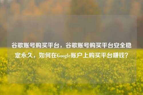 谷歌账号购买平台，谷歌账号购买平台安全稳定永久，如何在Google账户上购买平台赚钱？