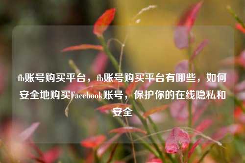 fb账号购买平台，fb账号购买平台有哪些，如何安全地购买Facebook账号，保护你的在线隐私和安全