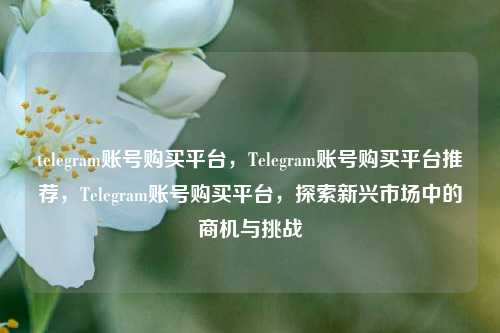 telegram账号购买平台，Telegram账号购买平台推荐，Telegram账号购买平台，探索新兴市场中的商机与挑战