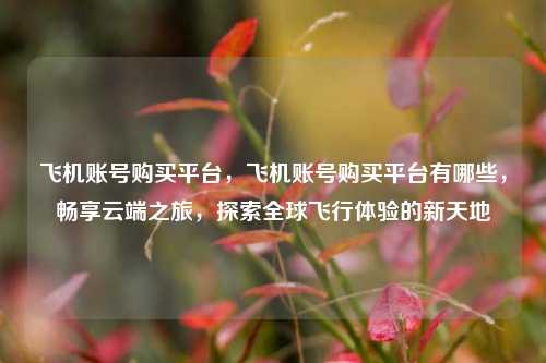 飞机账号购买平台，飞机账号购买平台有哪些，畅享云端之旅，探索全球飞行体验的新天地