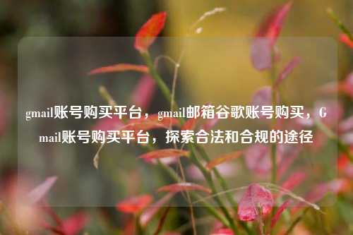 gmail账号购买平台，gmail邮箱谷歌账号购买，Gmail账号购买平台，探索合法和合规的途径