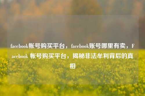 facebook帐号购买平台，facebook账号哪里有卖，Facebook 帐号购买平台，揭秘非法牟利背后的真相