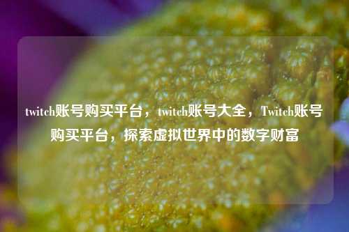 twitch账号购买平台，twitch账号大全，Twitch账号购买平台，探索虚拟世界中的数字财富