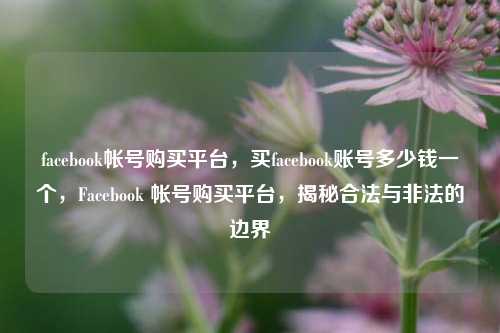 facebook帐号购买平台，买facebook账号多少钱一个，Facebook 帐号购买平台，揭秘合法与非法的边界