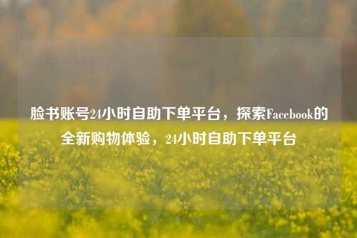 脸书账号24小时自助下单平台，探索Facebook的全新购物体验，24小时自助下单平台