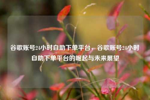 谷歌账号24小时自助下单平台，谷歌账号24小时自助下单平台的崛起与未来展望