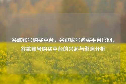 谷歌账号购买平台，谷歌账号购买平台官网，谷歌账号购买平台的兴起与影响分析