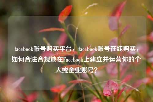 facebook帐号购买平台，facebook账号在线购买，如何合法合规地在Facebook上建立并运营你的个人或企业账号？