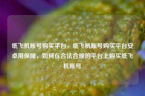纸飞机账号购买平台，纸飞机账号购买平台安卓用保障，如何在合法合规的平台上购买纸飞机账号