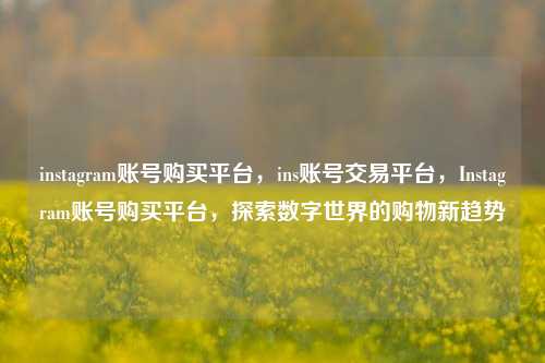instagram账号购买平台，ins账号交易平台	，Instagram账号购买平台，探索数字世界的购物新趋势  第1张