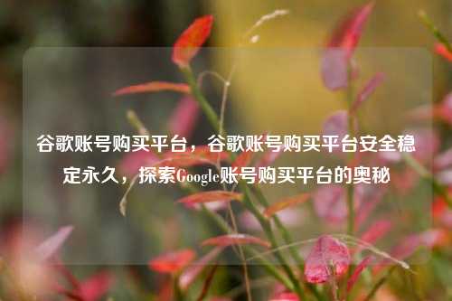 谷歌账号购买平台，谷歌账号购买平台安全稳定永久，探索Google账号购买平台的奥秘