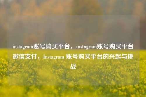 instagram账号购买平台，instagram账号购买平台微信支付，Instagram 账号购买平台的兴起与挑战