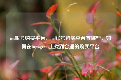 ins账号购买平台，ins账号购买平台有哪些	，如何在Instagram上找到合适的购买平台  第1张
