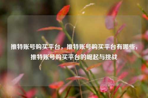推特账号购买平台，推特账号购买平台有哪些，推特账号购买平台的崛起与挑战