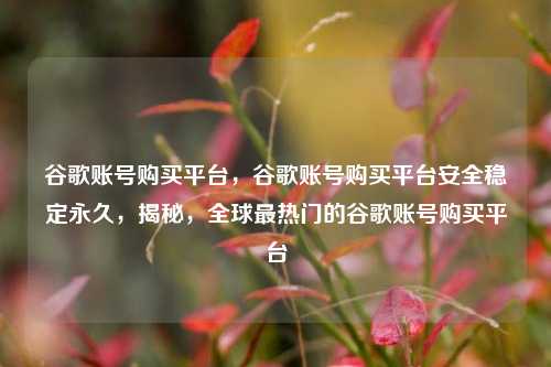 谷歌账号购买平台，谷歌账号购买平台安全稳定永久，揭秘，全球最热门的谷歌账号购买平台