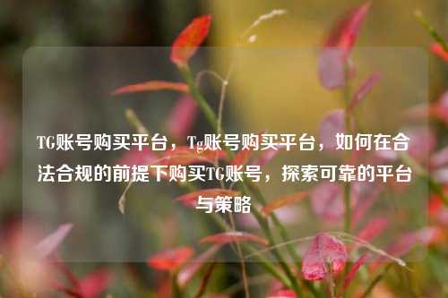 TG账号购买平台，Tg账号购买平台，如何在合法合规的前提下购买TG账号，探索可靠的平台与策略