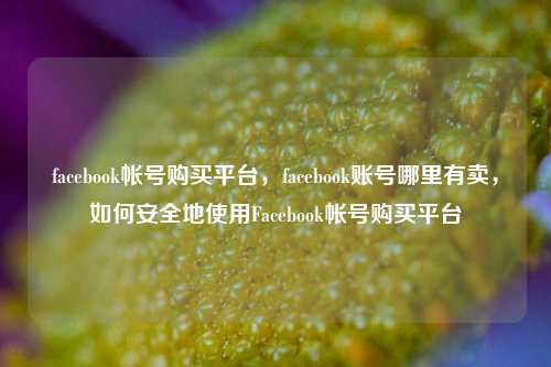 facebook帐号购买平台	，facebook账号哪里有卖，如何安全地使用Facebook帐号购买平台  第1张