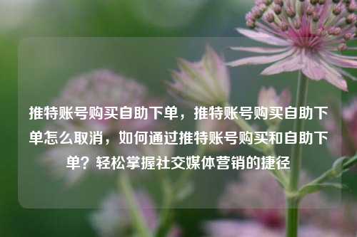 推特账号购买自助下单，推特账号购买自助下单怎么取消	，如何通过推特账号购买和自助下单？轻松掌握社交媒体营销的捷径  第1张