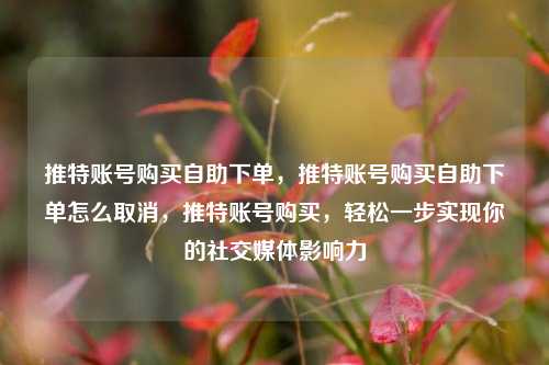推特账号购买自助下单，推特账号购买自助下单怎么取消，推特账号购买，轻松一步实现你的社交媒体影响力
