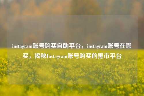instagram账号购买自助平台，instagram账号在哪买	，揭秘Instagram账号购买的黑市平台  第1张