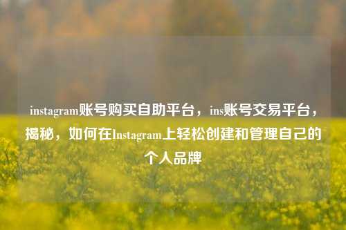instagram账号购买自助平台，ins账号交易平台，揭秘，如何在Instagram上轻松创建和管理自己的个人品牌