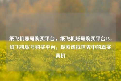 纸飞机账号购买平台，纸飞机账号购买平台15，纸飞机账号购买平台	，探索虚拟世界中的真实商机  第1张