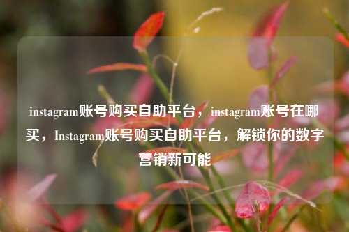 instagram账号购买自助平台，instagram账号在哪买，Instagram账号购买自助平台，解锁你的数字营销新可能