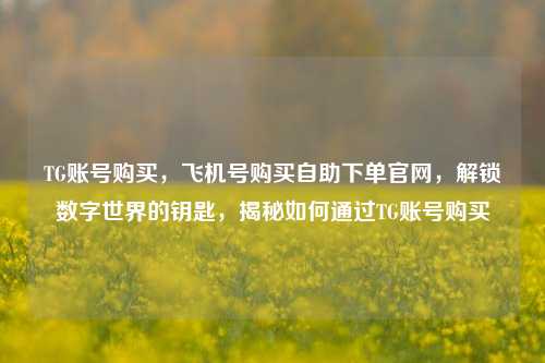 TG账号购买，飞机号购买自助下单官网，解锁数字世界的钥匙，揭秘如何通过TG账号购买