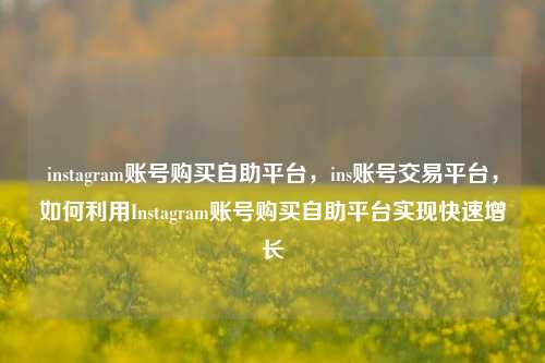 instagram账号购买自助平台，ins账号交易平台，如何利用Instagram账号购买自助平台实现快速增长