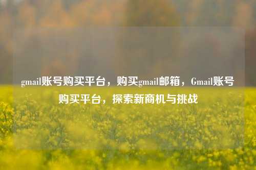 gmail账号购买平台，购买gmail邮箱，Gmail账号购买平台，探索新商机与挑战