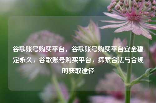 谷歌账号购买平台，谷歌账号购买平台安全稳定永久	，谷歌账号购买平台，探索合法与合规的获取途径  第1张
